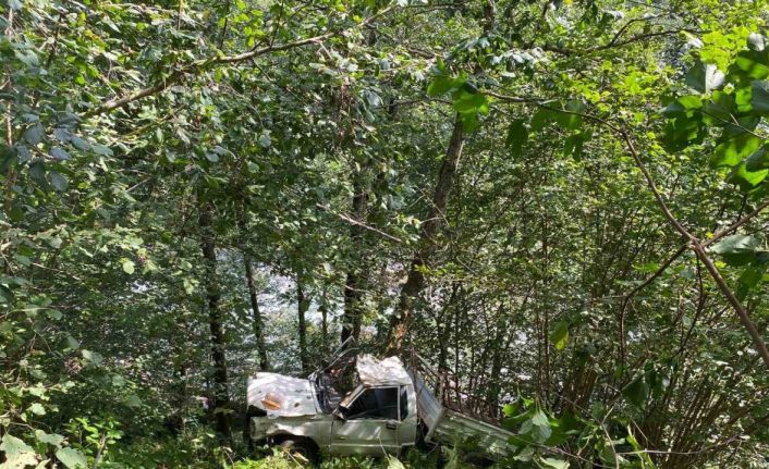 Rize’de kamyonet uçuruma yuvarlandı: 1 ölü