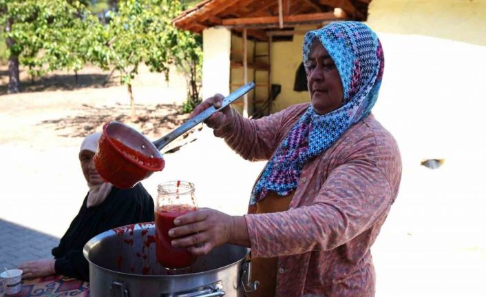 Salça makinesi domates üreticisinin yüzünü güldürdü