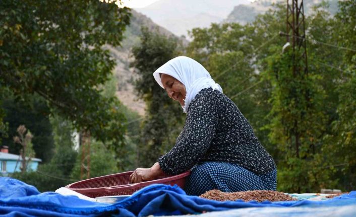 Şırnaklı aile sumak satarak geçimini sağlıyor