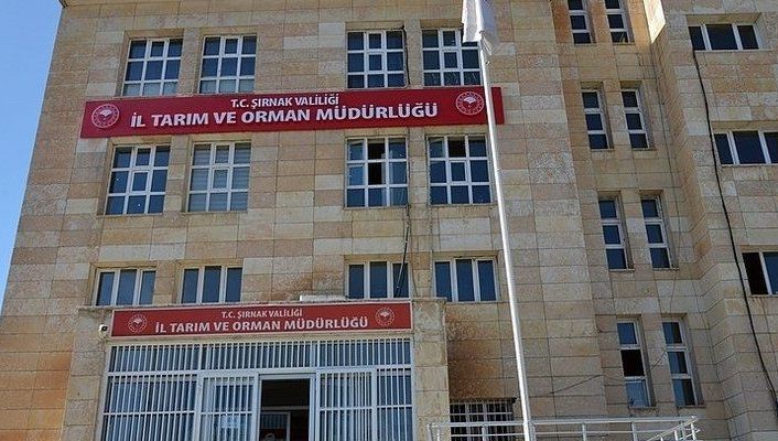 Şırnak’ta boş arı kovan desteği başvuruları başladı