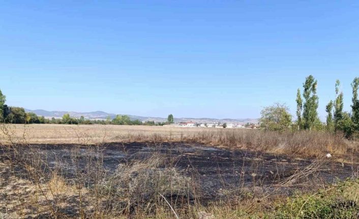 Tavşanlı’da arazide çıkan yangın kısa sürede söndürüldü