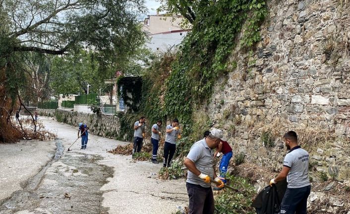 Temiz çevre için güç birliği