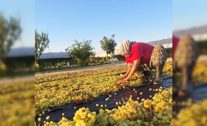 Üzümcünün gözü kulağı meteorolojide