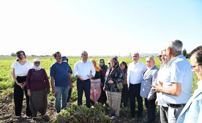 Yer fıstığının başkenti Osmaniye’de festival heyecanı