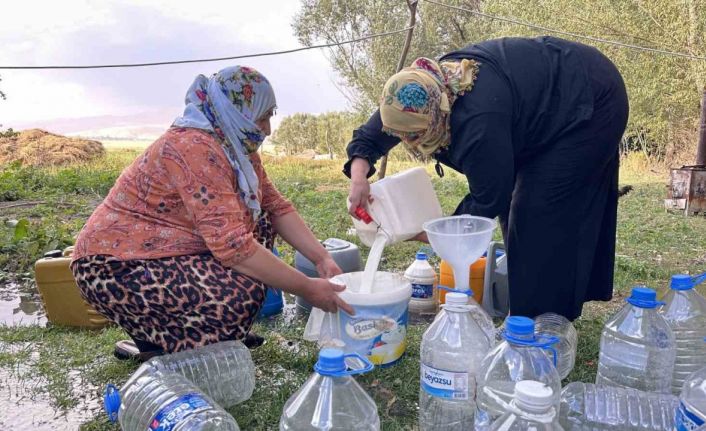 Yüksekova’da kışlık süt mesaisi