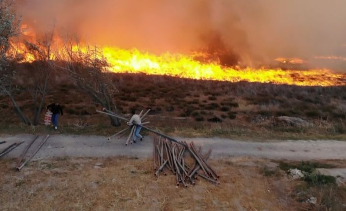 400 dönümlük mısır tarlası ve merada korkutan yangın