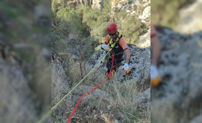 5 gündür kayalıklarda mahsur kalan keçi AFAD ekiplerince kurtarıldı