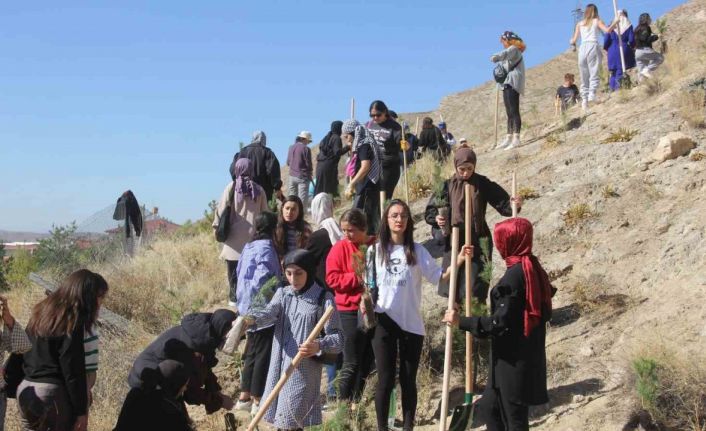 6 ülkeden 10 gönüllü Sivas’ı yeşertmek için kolları sıvadı