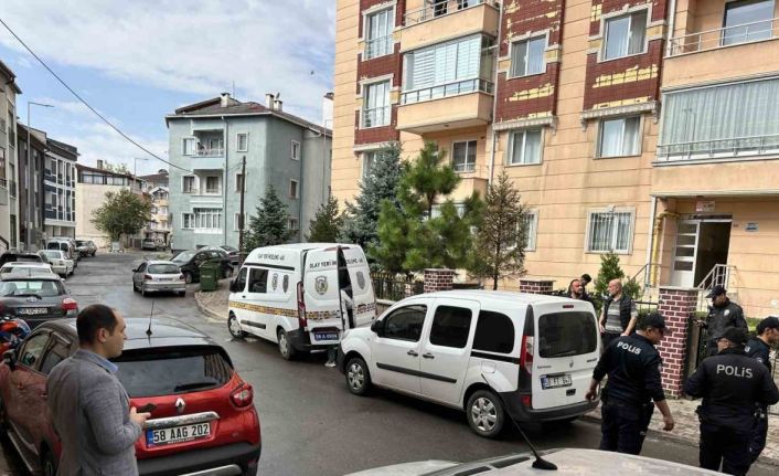 80 yaşında kedi yüzünden dehşet saçtı