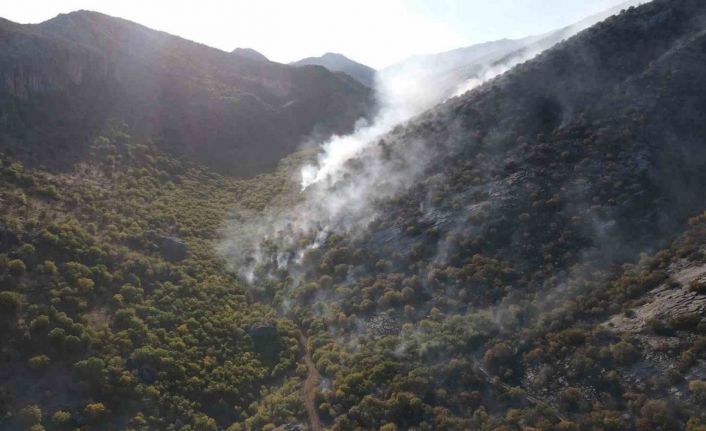 Adıyaman’da 2 gündür süren orman yangını devam ediyor