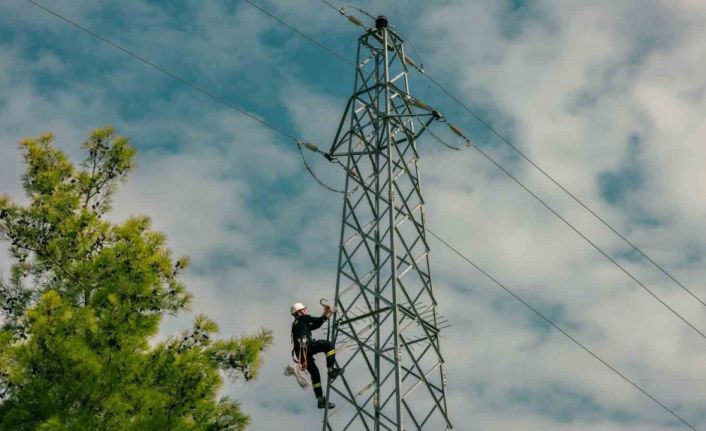 AEDAŞ’tan elektrik şebekelerine müdahale edilmemesi konusunda uyarı