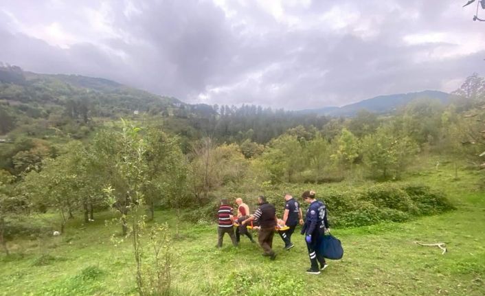 Ağaçtan düşen vatandaş 3 saat süren çaba ile hastaneye ulaştırılabildi