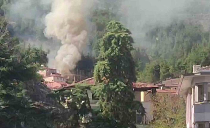 Amasya’da ormana bitişik 3 ev yangında kül oldu