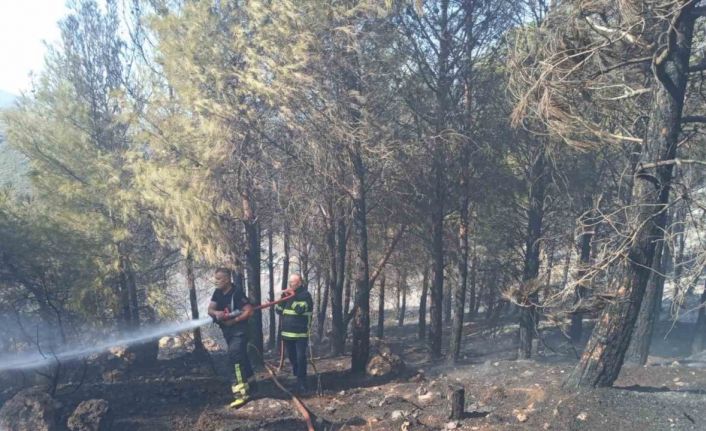 Antakya’da orman yangını