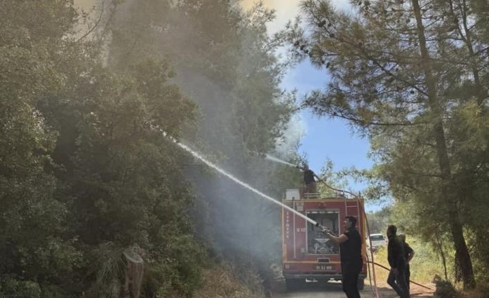 Antakya’da orman yangını kısa sürede söndürüldü