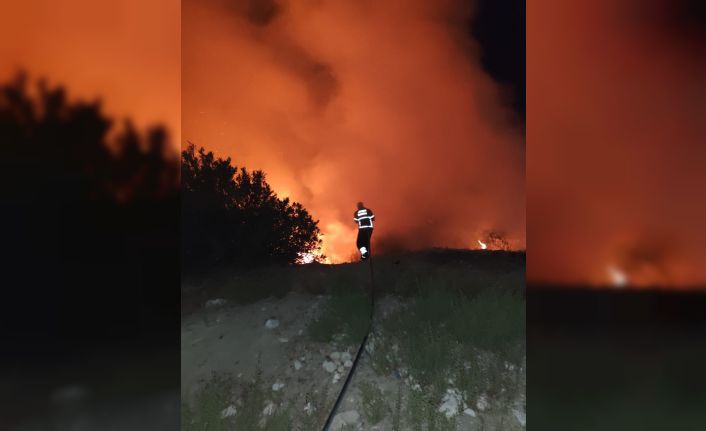 Antakya’da ormanlık alanda yangın