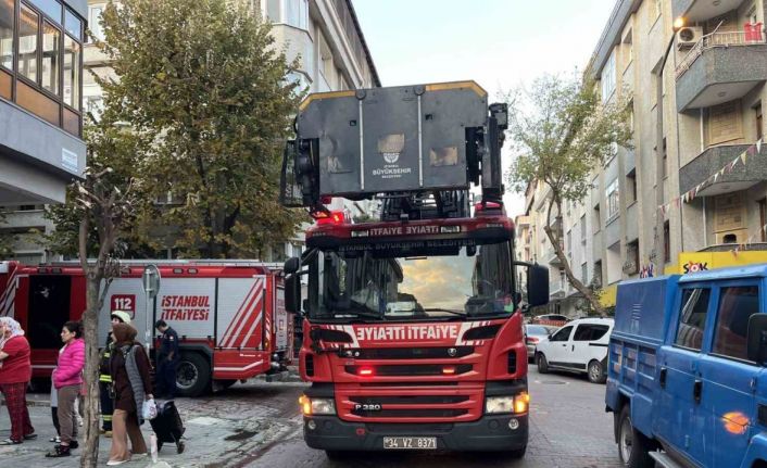 Avcılar’da yangın çıkan dairede mahsur kalan tavşanı itfaiye kurtardı