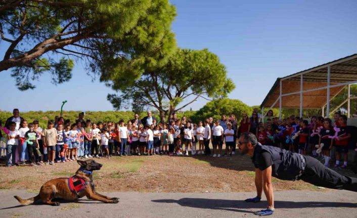 Ayvalık’ta sokak hayvanları unutulmadı