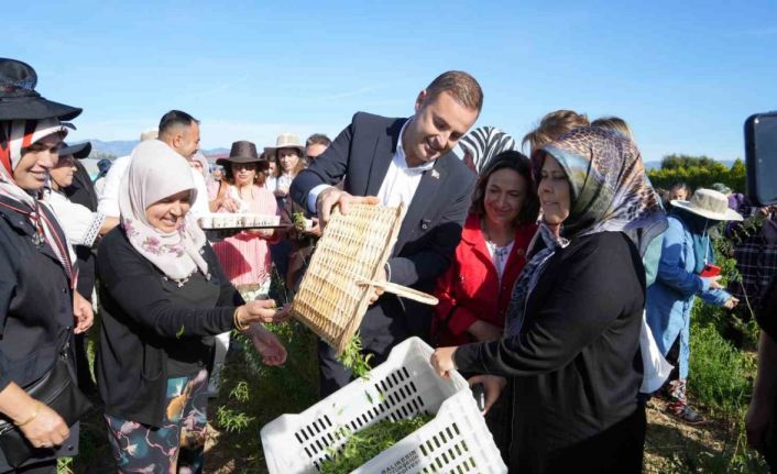 Başkan Akın, kadın çiftçilerin yanında