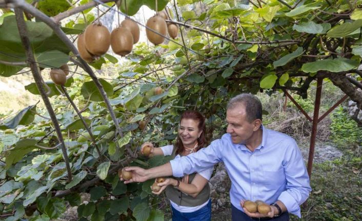 Başkan Seçer, ’Kivi Şenliği’ne katıldı