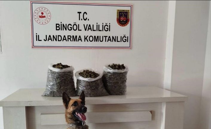 Bingöl’de 4,5 kilo esrar ele geçirildi