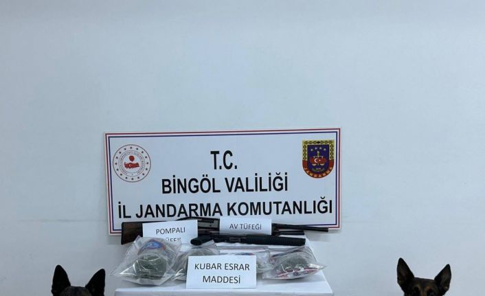 Bingöl’de 7 şüpheli gözaltına alındı