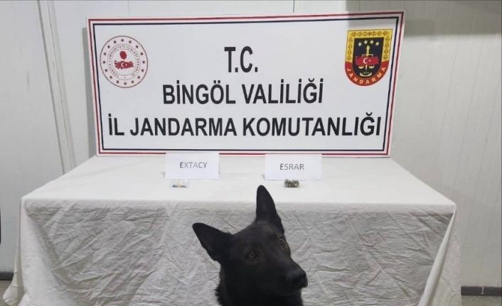 Bingöl’de jandarma ekipler suçlulara göz açtırmıyor