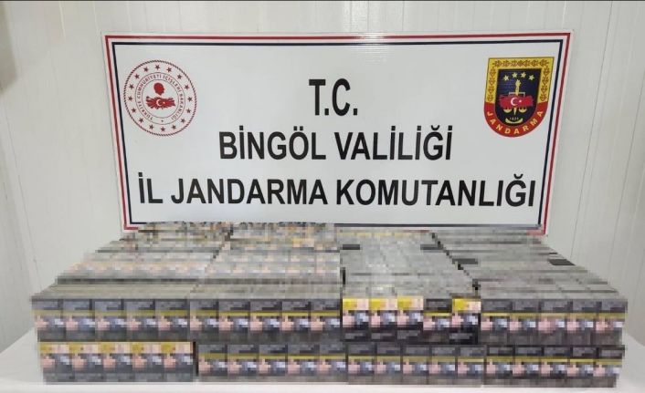 Bingöl’de kaçak kazı yapan 2 kişi yakalandı