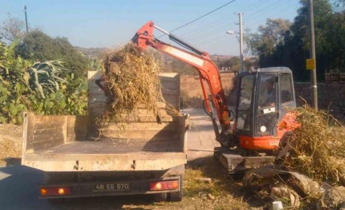 Bodrum’un derelerinde kış temizliği