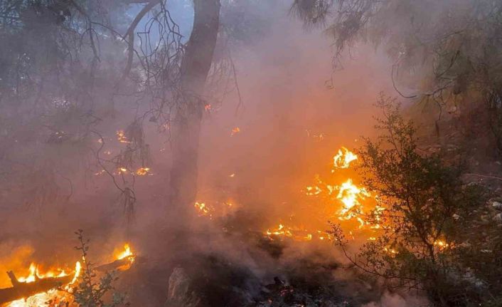 Burdur’da çıkan orman yangını kontrol altına alındı