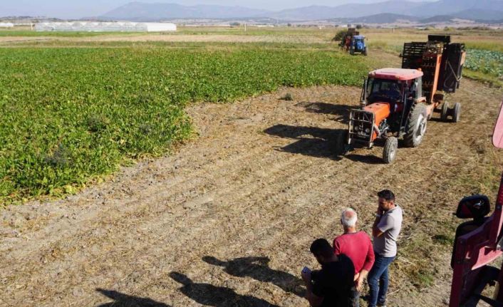 Burdur’da şeker pancarı hasadında yüksek rekolte beklentisi