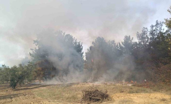 Bursa’da korkutan orman yangını