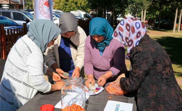 Çameli’nde kadınlara doğal yollarla ‘alıç sirkesi’ yapımı eğitimi