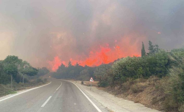 Çanakkale’de ormanlara giriş yasağı 30 Kasım’a kadar uzatıldı