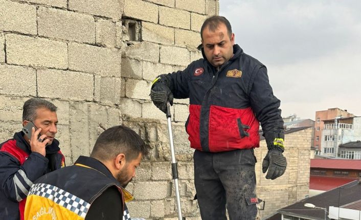 Çatıda mahsur kalan kedi itfaiye ekipleri tarafından kurtarıldı