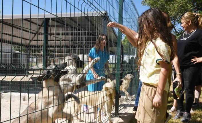 Çocuklar hayvan bakımevini gezdi