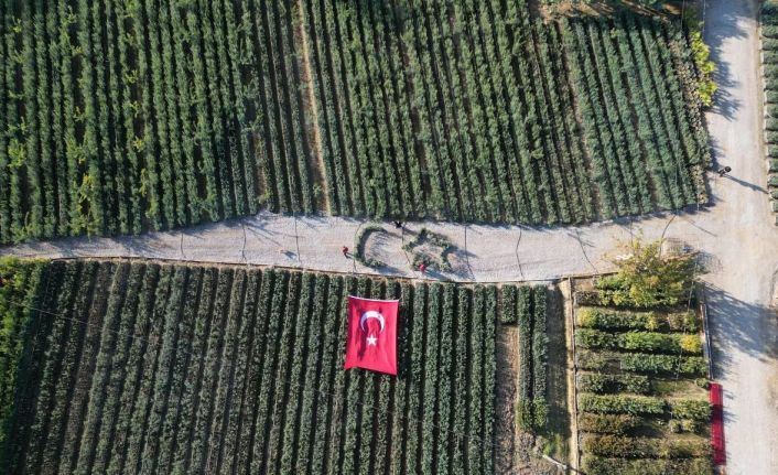 Cumhuriyetin 101 için zeytin fidanlarıyla Türk Bayrağı’nı oluşturdu