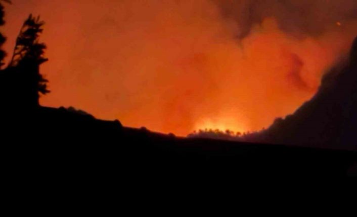 Denizli’de 2. gününe giren yangından yükselen alevler geceyi aydınlattı