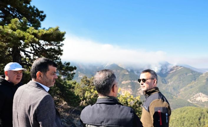 Denizli’deki orman yangını söndürüldü