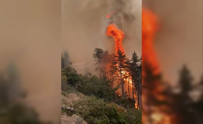 Denizli’deki yangına 6. günde müdahale sürüyor