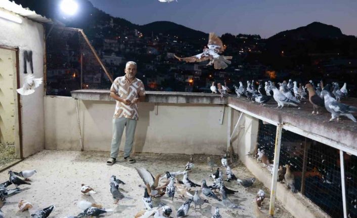 Depremin bile vazgeçiremediği 35 yıllık tutkusunu evinin çatısında sürdürüyor