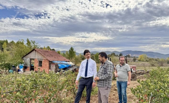 Dereköy ve Ahmetler köyünün yeni geçim kaynağı ahududu ve aronya