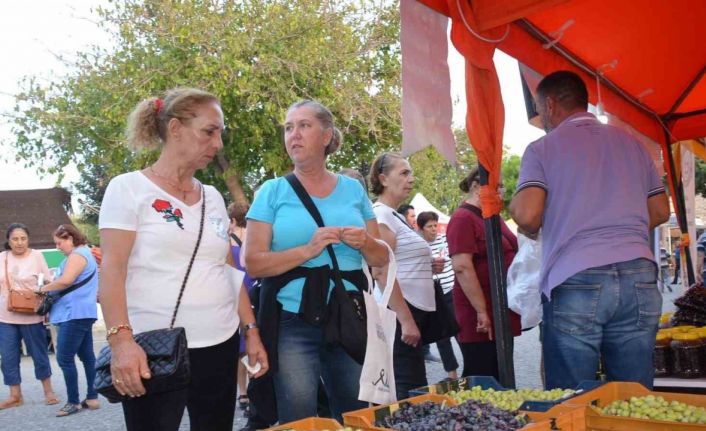 Didim Zeytin Festivali başladı