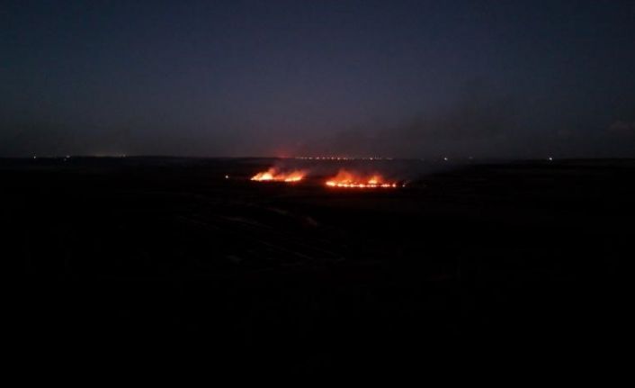 Diyarbakır’da anız yangını havadan görüntülendi