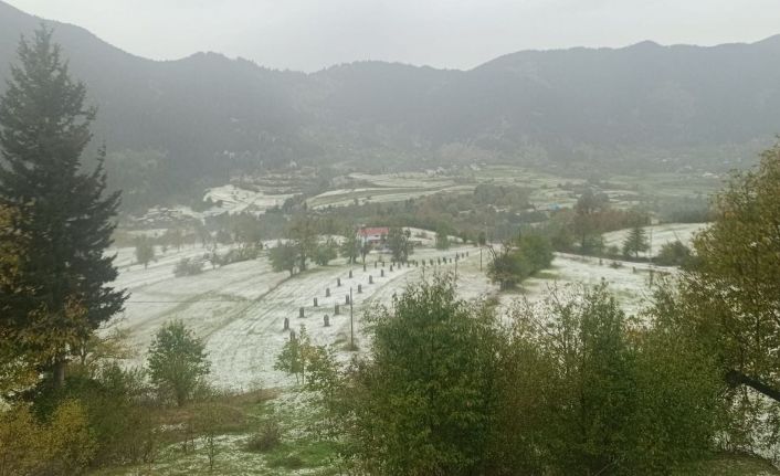 Dolu yağışı Artvin’i beyaz örtüyle kapladı