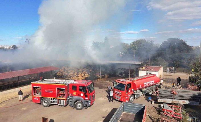 Edirne’de çiftlik yangını: Samanlar ve çeltikler küle döndü