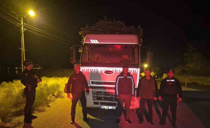 Elazığ’da orman suçlarıyla mücadelede sıkı denetim