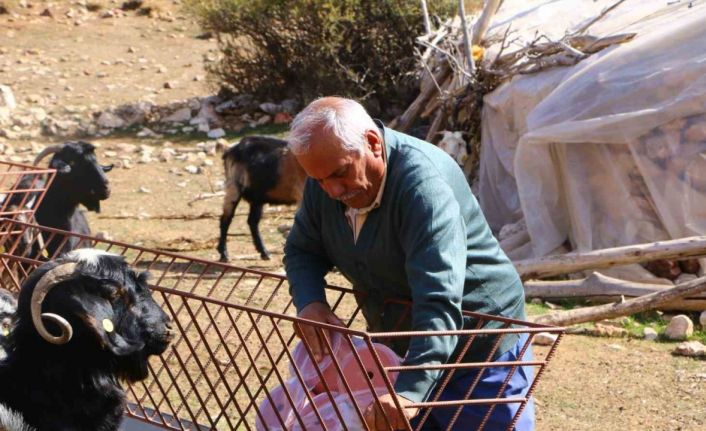 Elmalı’da Çoban Haritası Projesi tamamladı