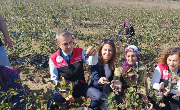 Erdek Kaymakamı Atasoy’dan Dünya Kadın Çiftçiler Günü Ziyareti