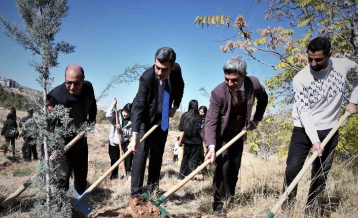 Fidanlar toprakla buluştu